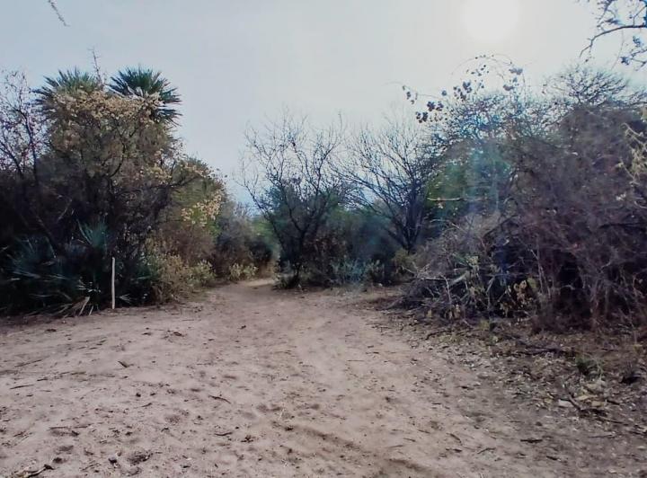 Terreno · 727m²