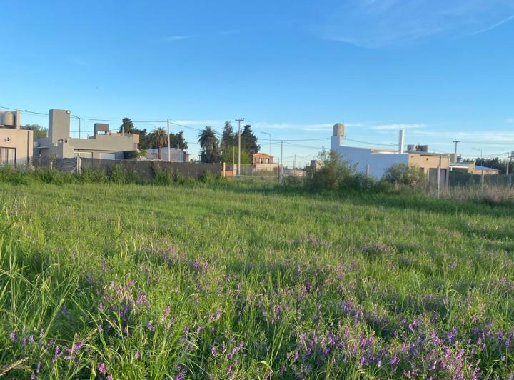 Terreno · 300m²
