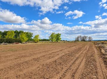 Campo , Agrelo · En Venta Finca de 8 Ha en Agrelo - 1,6 Km de Rn N°7 - Lujan de Cuyo