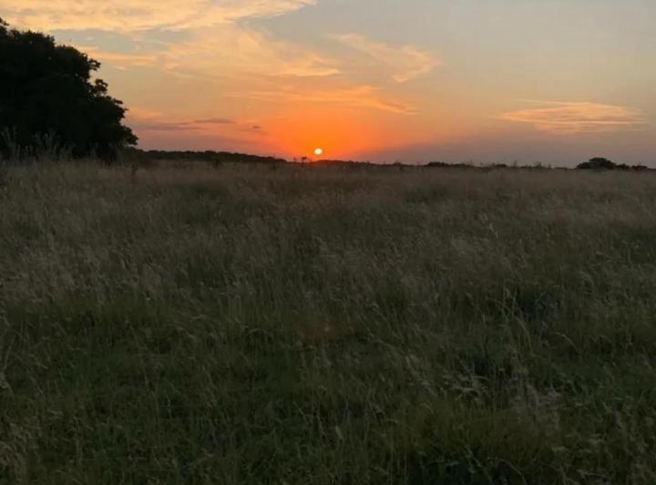 Campo · 21ha · 1 Ambiente