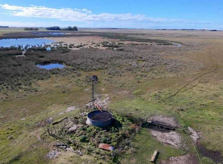 Campo · 250ha · 1 Ambiente