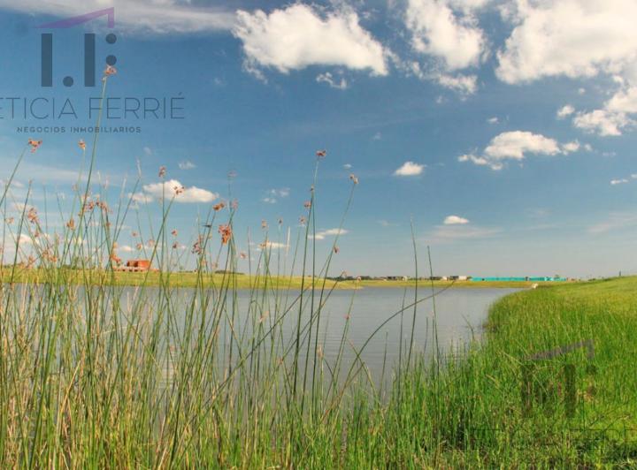 Terreno · 890m²