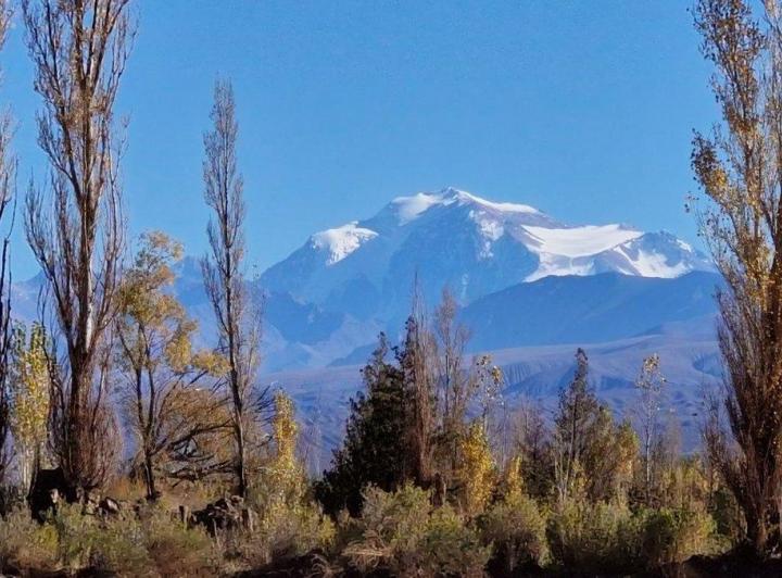 Terreno · 10000m²