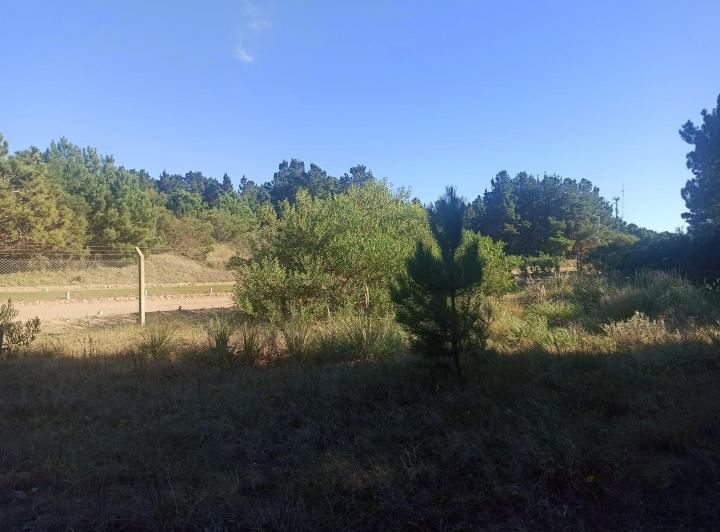 Terreno · 901m²