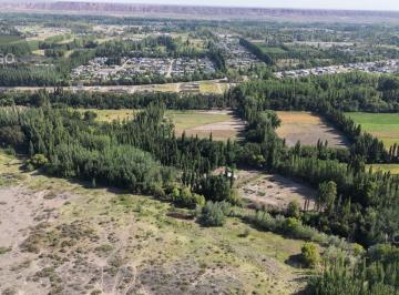 Campo · 78500m² · 1 Ambiente · En Venta | Chacra de 7,85 Hectáreas con Potencial Inmobiliario | Plottier