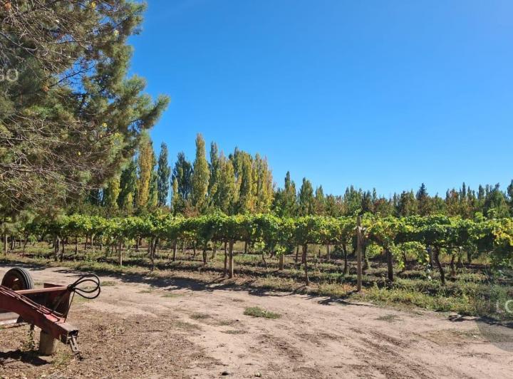 Campo · 27000m²
