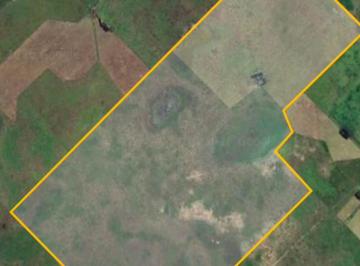 Campo , Laprida · Excelente Campo Ganadero de 500 Ha en Laprida | Financiación Propia y Gran Ubicación