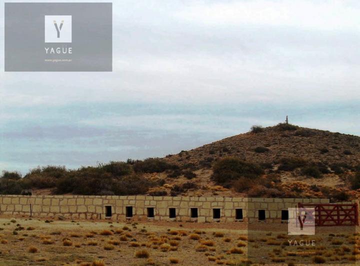 Campo · 80000ha