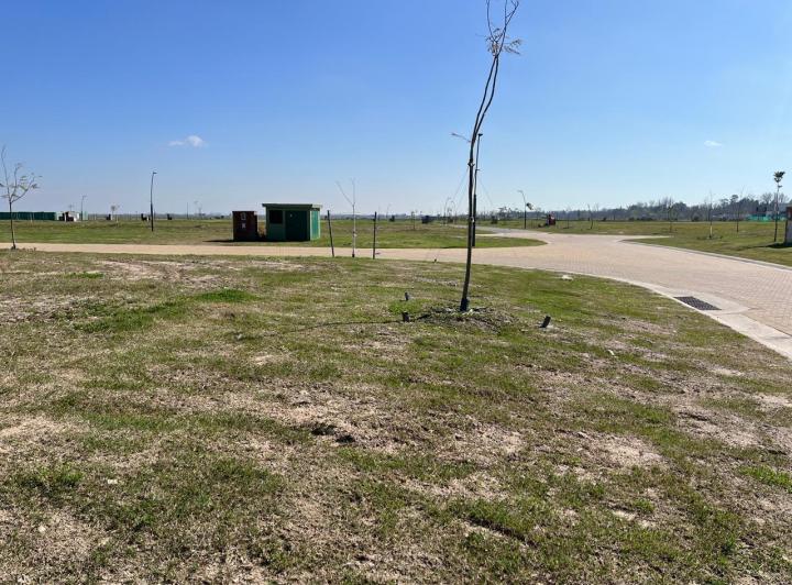 Terreno · 655m²