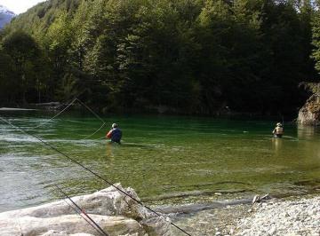 Campo · 555ha · Campo - Aysén