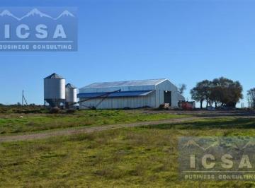 Campo · 1400ha · Inmobiliaria Comodoro - Campo - General Conesa - Sur Río Colorado