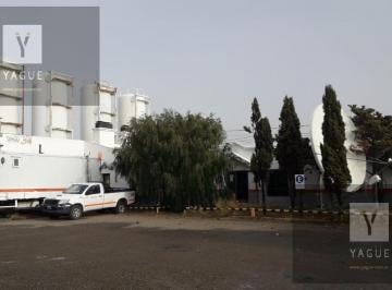 Bodega-Galpón · 2800m² · Nave Industrial - Las Heras