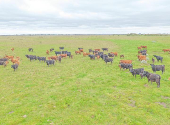 Campo en venta en General Lavalle · 1 ambiente