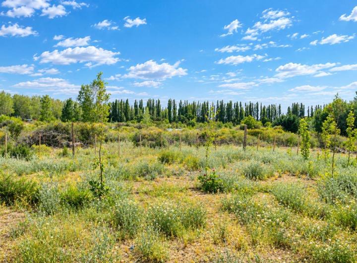 Terreno · 2330m²