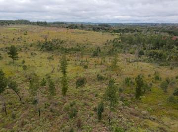 Campo · 700000m² · Campo en Venta en Gobernador Roca Misiones - 70 Hectáreas a m de Ruta N°12