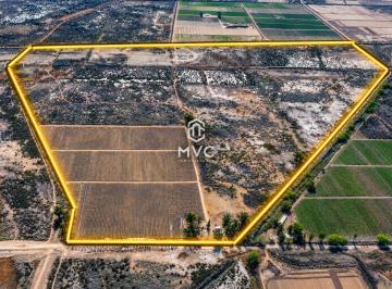 Campo · 59ha · Finca en Venta Roque Saenz Peña y Severo del Castillo, Guaymallén, Mendoza