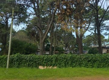 Terreno · 428m² · Venta Lote Residencial Unifamiliar Ostende
