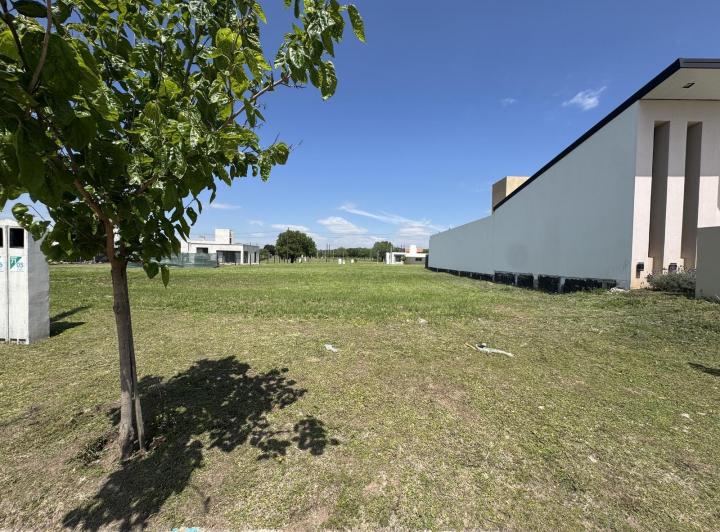 Terreno · 350m²