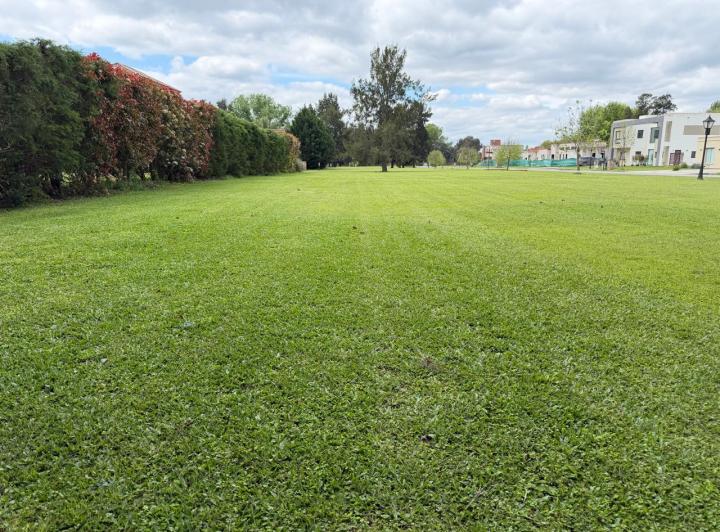 Terreno · 1617m² · 1 Cochera