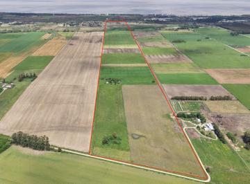 Campo · 61ha · Campo Agrícola en Venta · 61 Hectáreas · San José