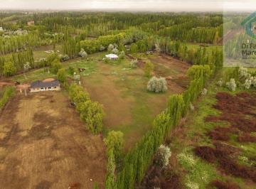 Campo · 130m² · 4 Ambientes · Venta Casa Quinta Cinco Saltos 1.5htas