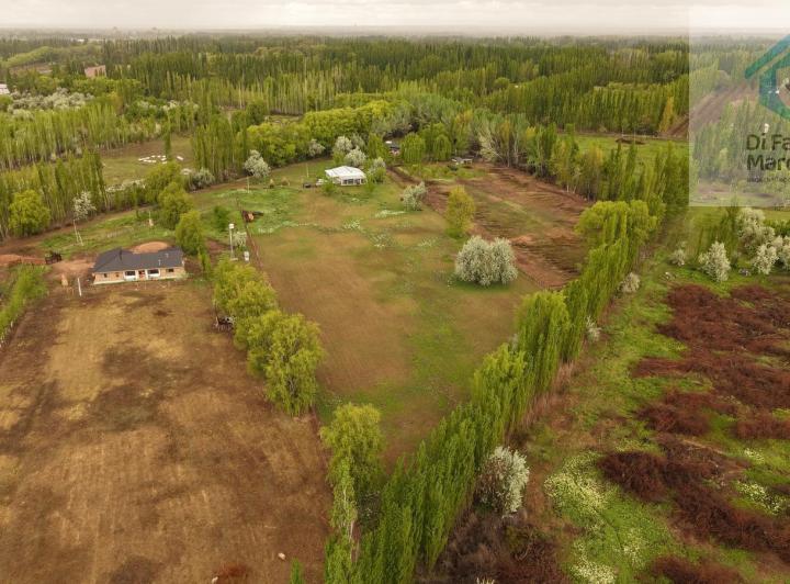 Campo · 130m² · 4 Ambientes