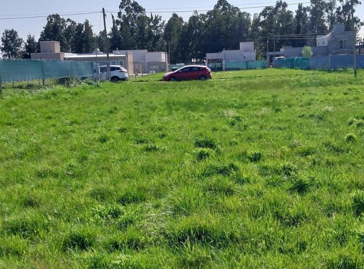 Terreno · 800m²
