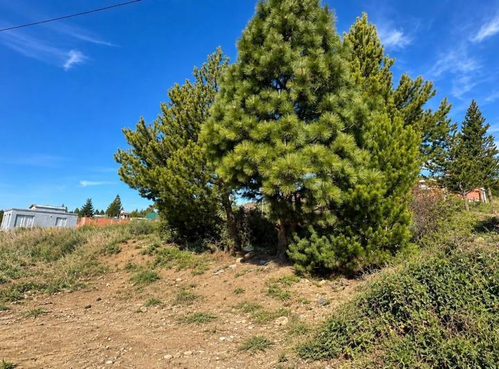 Terreno · 300m²