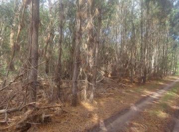Terreno · 525m² · Terreno en Venta en El Centro de La Esmeralda
