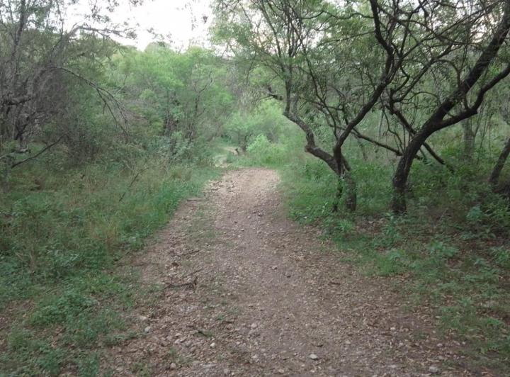 Terreno · 900m²