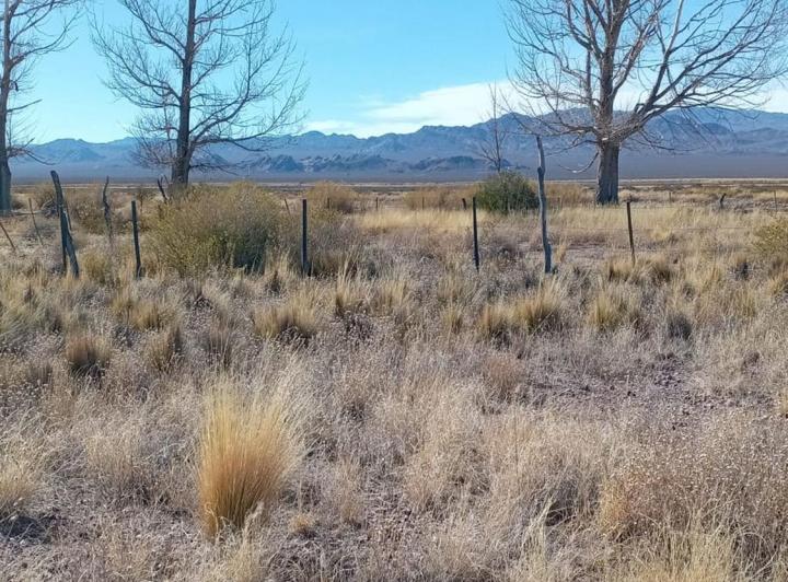 Terreno · 2250m²