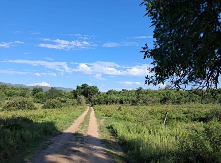 Terreno · 1050m² · 1 Ambiente