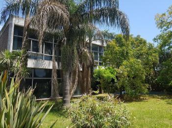 Bodega-Galpón · 10000m²