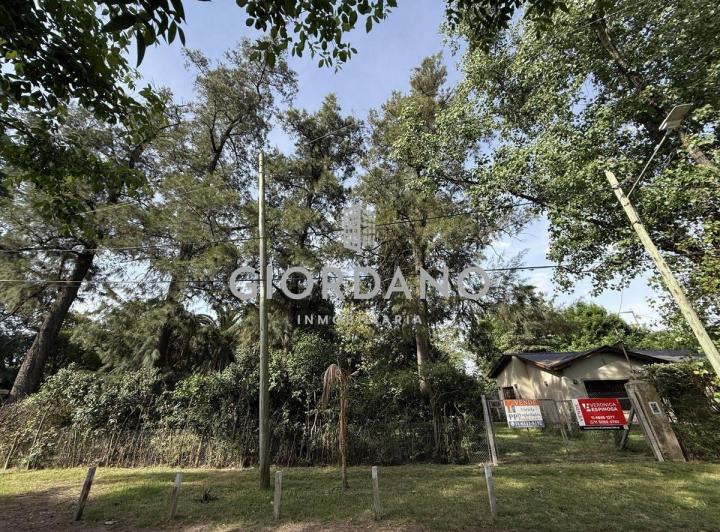Terreno · 215m² · 1 Ambiente