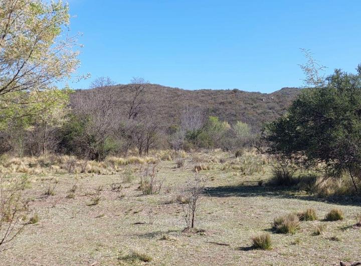 Terreno · 2000m²
