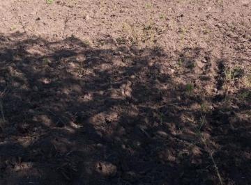 Terreno · 675m² · Terrenos Sobre Av Circunvalacion