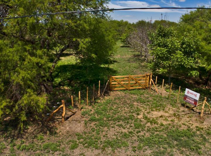 Campo · 50000m²