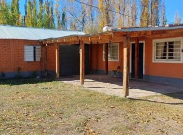 Casa de 3 ambientes, Vista Alegre · Chacra en Alquiler | Vista Alegre