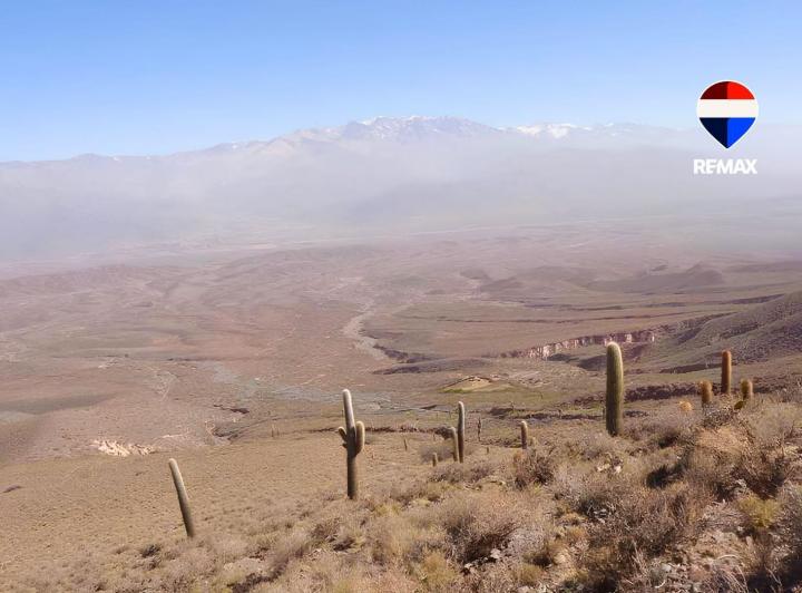Campo · 4775ha