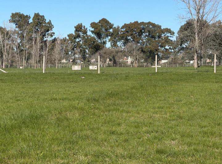 Terreno · 850m²