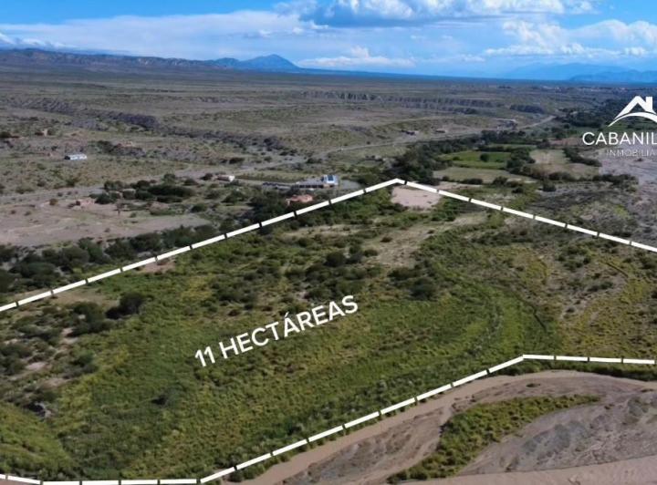 Terreno · 11ha