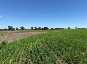 Campo · 480000m² · Campo en Venta - General Rodriguez