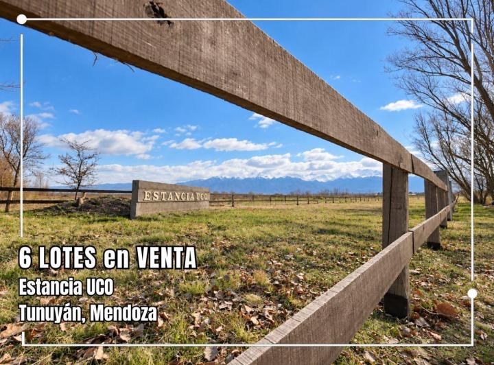Terreno · 10000m²