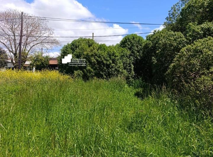 Terreno · 175m²