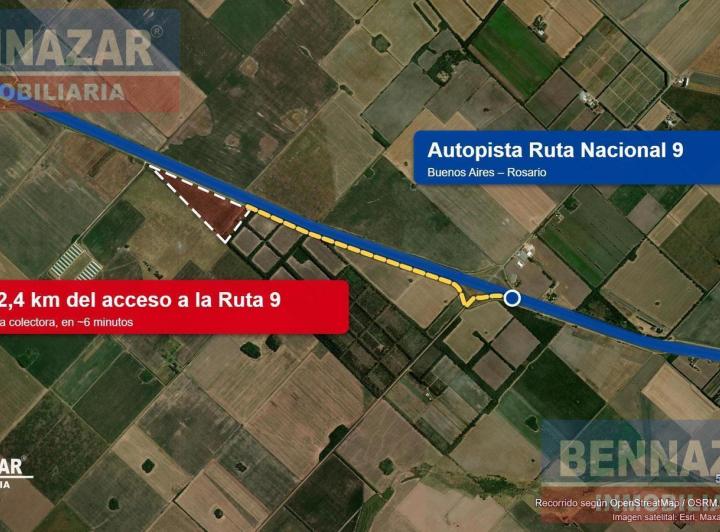 Campo · 15ha