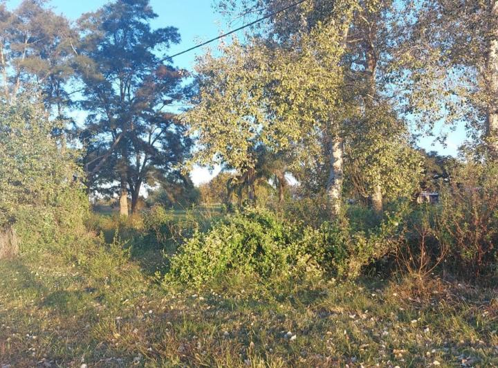 Terreno · 700m²