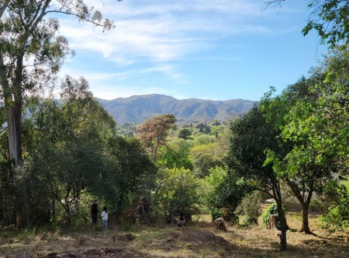 Terreno · 717m²
