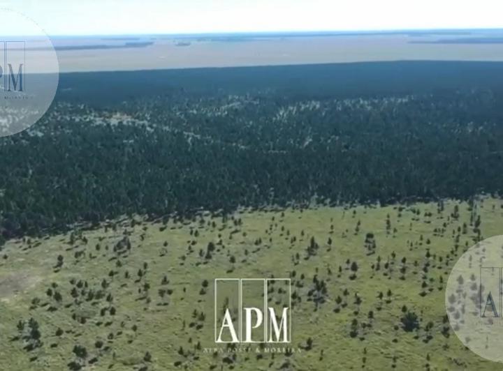 Campo · 433m²