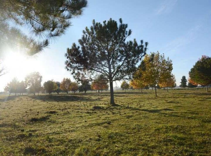 Terreno · 1020m²