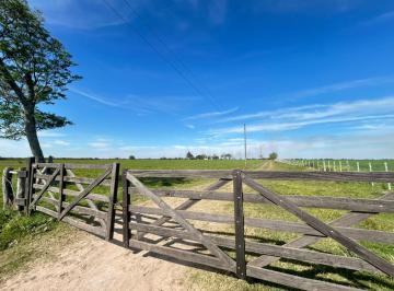 Campo · 145ha · Campo en Venta Partido San Justo